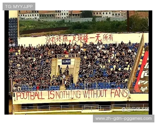 足球赛事中的球迷文化和社交互动